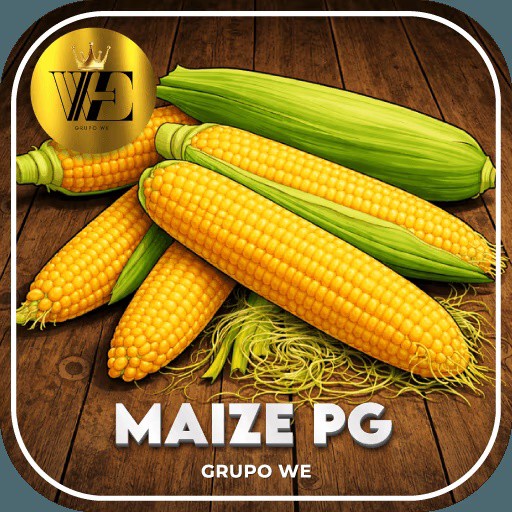 Maize PG cassino online licenciado com 2.500+ jogos certificados, bônus R$ 5.000🍀
